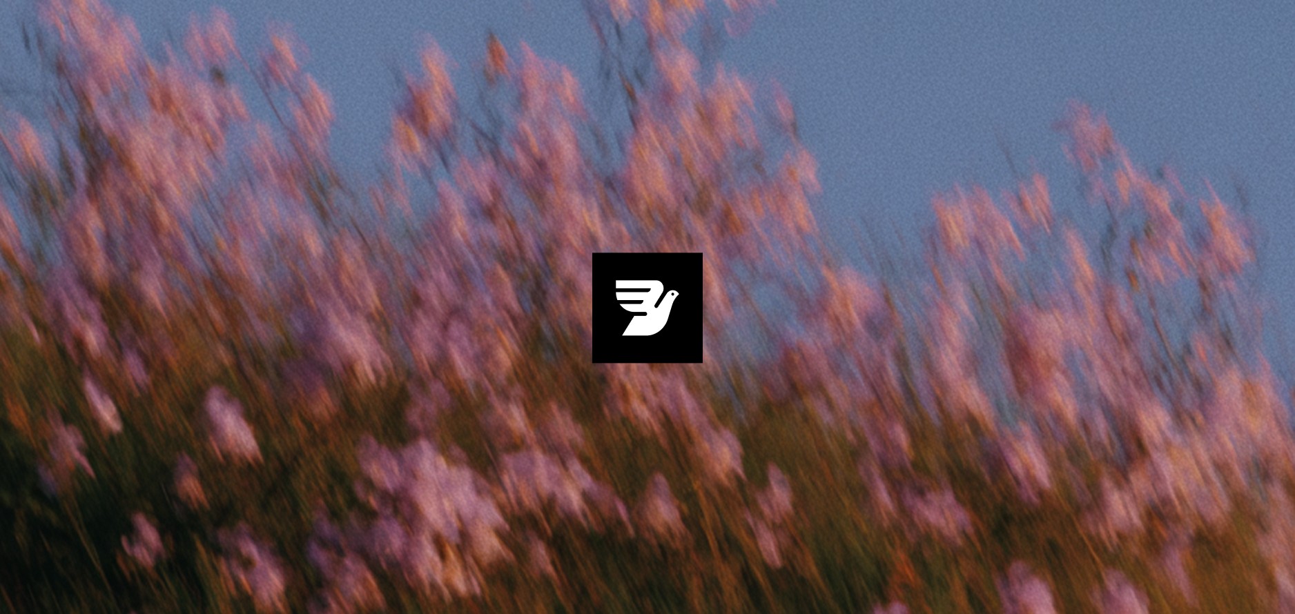 A dreamy, abstract image featuring a blurred field of pink flowers set against a clear blue sky, with the Bird logo at the center.